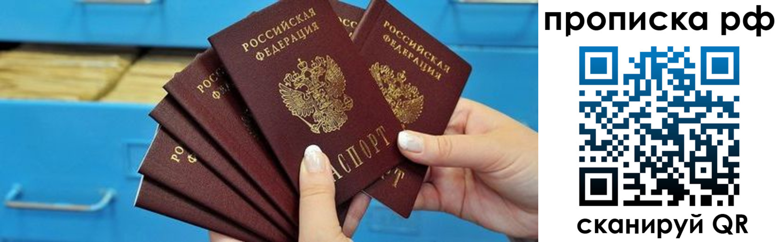 прописка поиск в Ставрополе